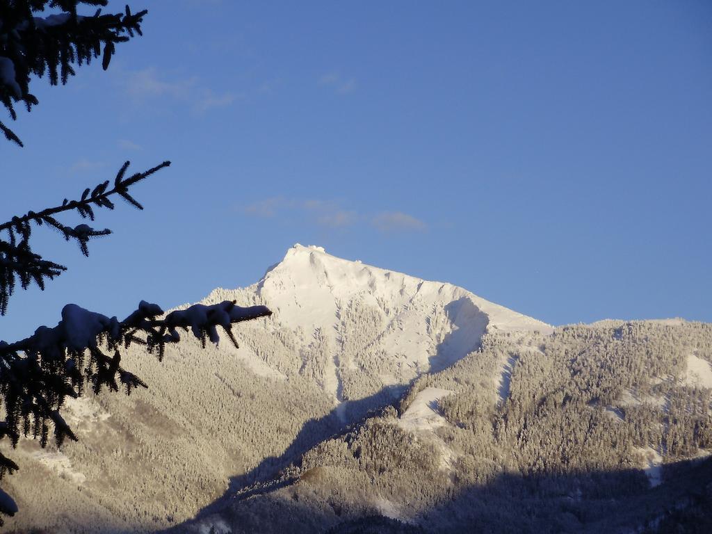 Apartma Mit Seeblick Sankt Gilgen